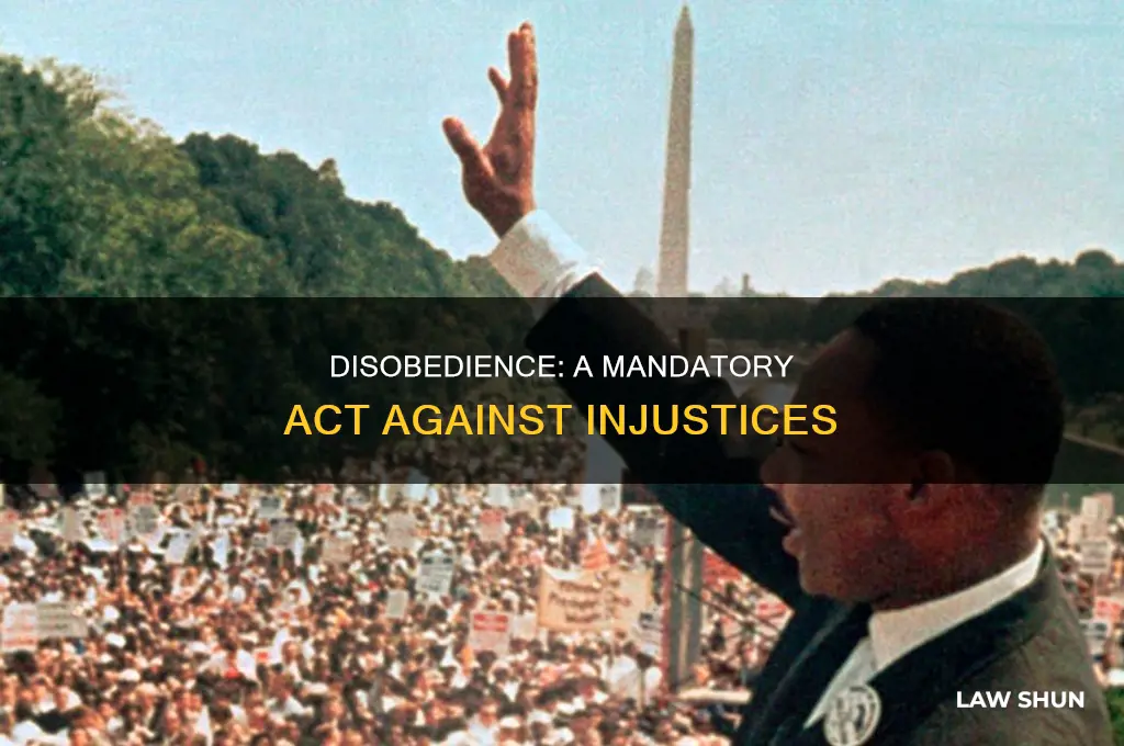 when injustice becomes law disobedience becomes mandatory george washington