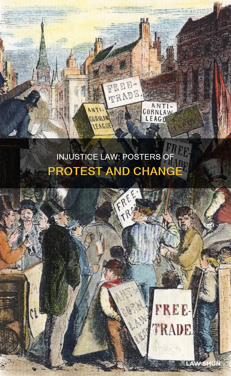 when injustice becomes law poster