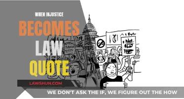 Injustice as Law: A Call to Action