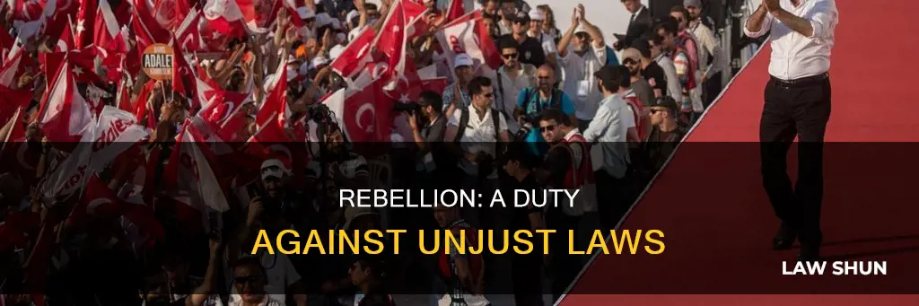 when injustice becomes law rebellion becomes duty