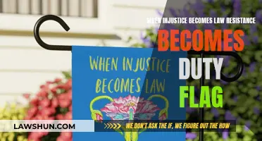 Resistance as Duty: Injustice, Law, and the Flag