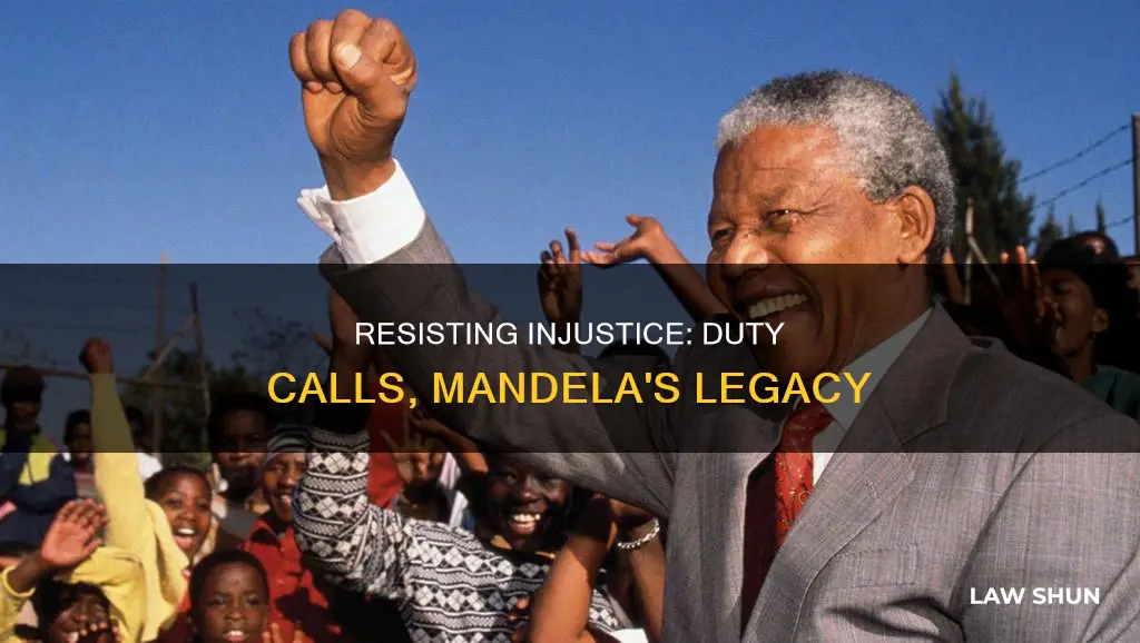 when injustice becomes law resistance becomes duty mandela