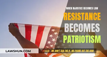 Resistance as Patriotism: Injustices and Laws