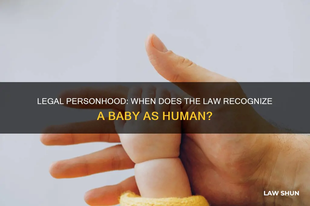 when is a baby considered a human life by law