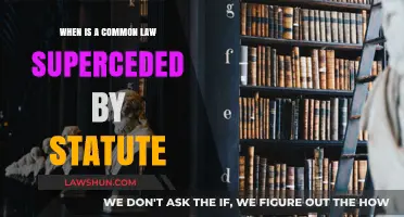 The Evolution of Common Law: When Statutes Take Over
