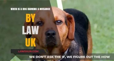 Dog Barking: Understanding UK Noise Nuisance Laws