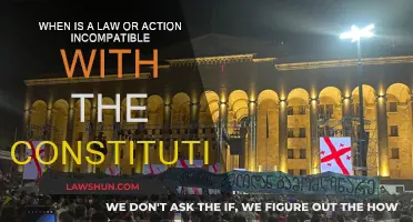 Understanding Constitutional Incompatibility
