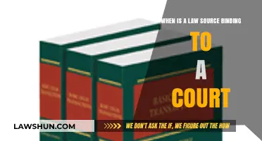 When Are Legal Sources Binding in Court? Key Principles Explained