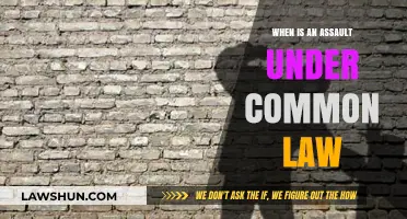 Common Law Assault: When Does It Apply?