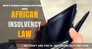 Automatic Rehabilitation in South African Insolvency Law: Timing Explained