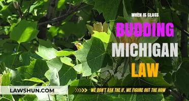 Understanding Class Budding in Michigan Law: Timing and Implications