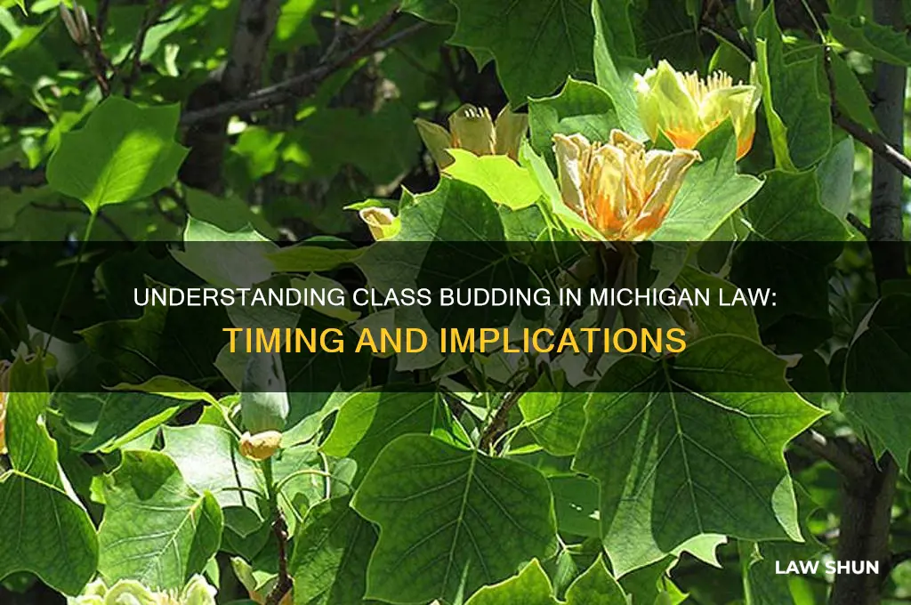 when is class budding michigan law