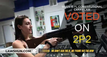 Florida's Constitutional Carry Law Vote: When and What?