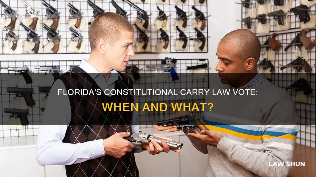 when is fl constitutional carry law voted on 2p2