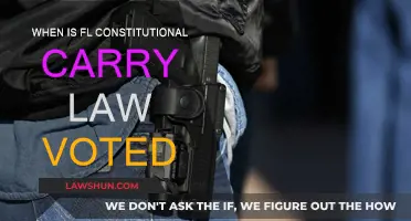 Florida's Constitutional Carry Law: Voting Date Revealed