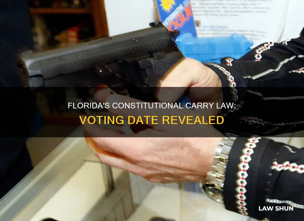 when is fl constitutional carry law voted