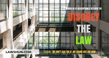 When Does Civil Disobedience Become Justifiable? Exploring Legal Boundaries