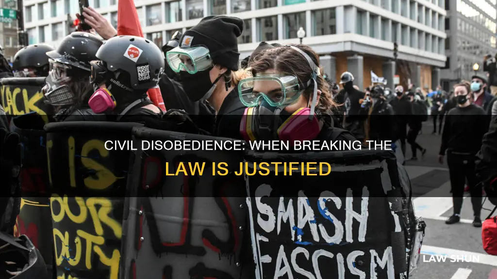 when is it ok to break the law essay