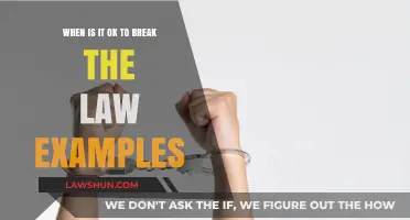 When Can You Justify Breaking the Law? Exploring Ethical Dilemmas