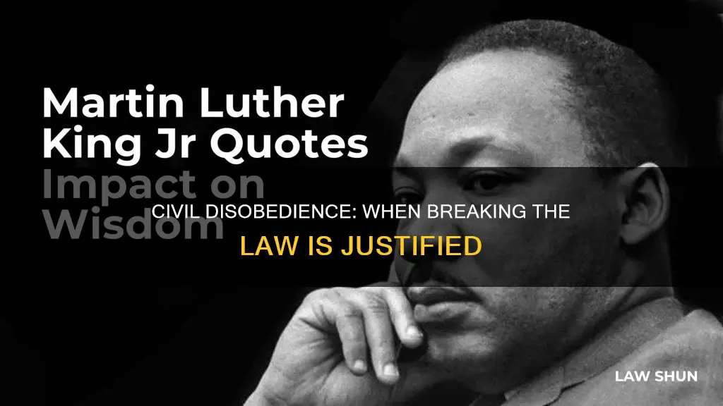 when is it right to break the law quotes