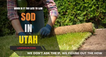 Utah Sod Planting Deadlines: When Is It Too Late to Lay?