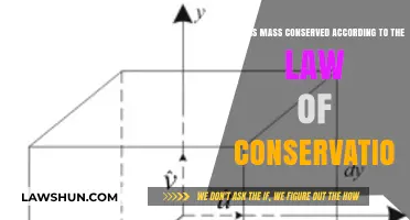 Understanding Mass Conservation: When and How It Applies in Physics