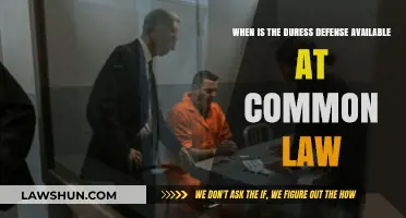 Understanding Duress Defense: Common Law Applications