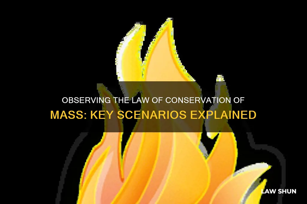 when is the law of conservation of mass observed