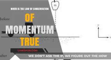 When Does the Law of Conservation of Momentum Apply?