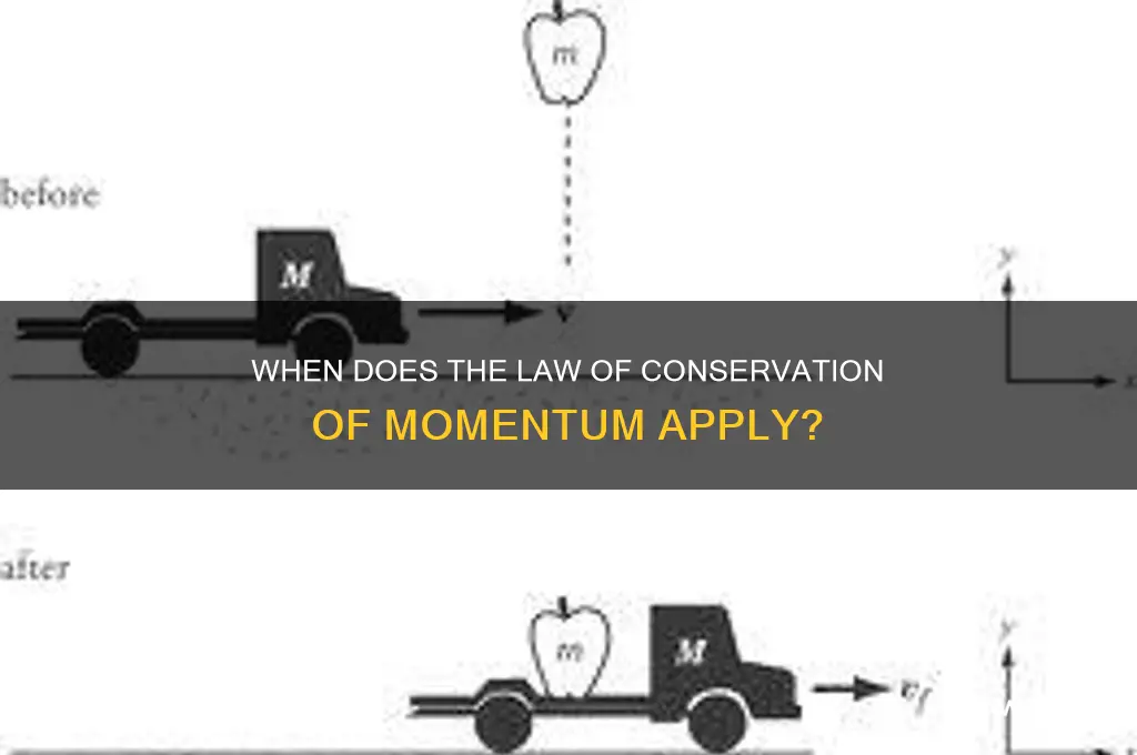 when is the law of conservation of momentum true
