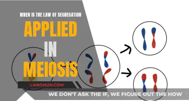 Meiosis: Segregating Chromosomes, Applying Laws of Segregation