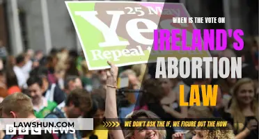 Ireland's Abortion Law: Vote Date and What to Expect