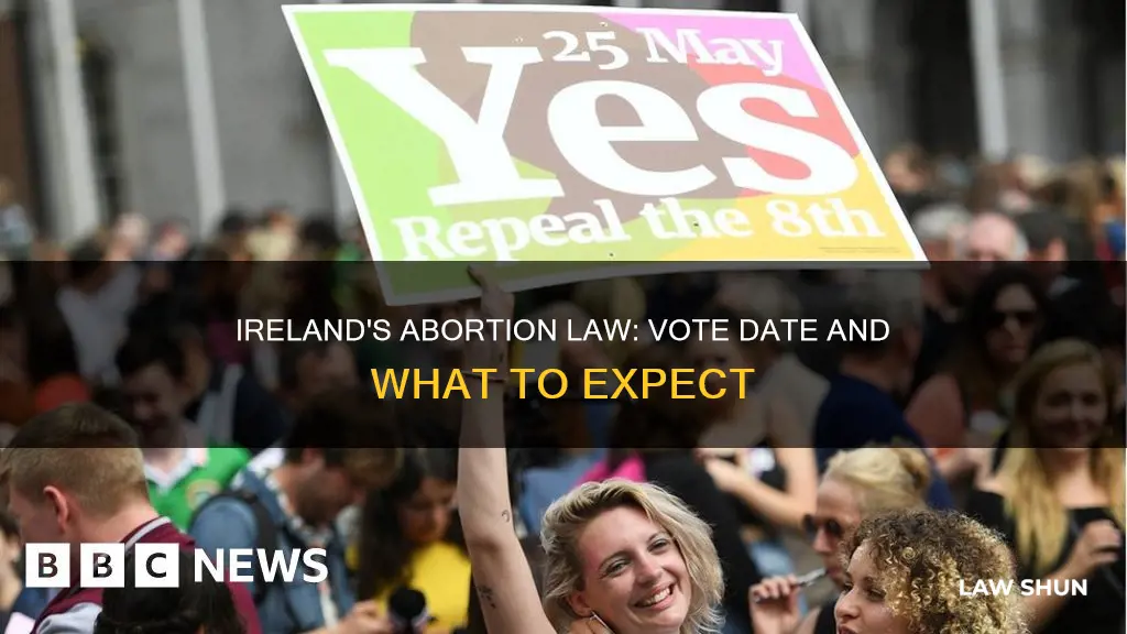 when is the vote on ireland