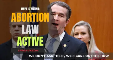 Virginia Abortion Law: Effective Date and What to Expect