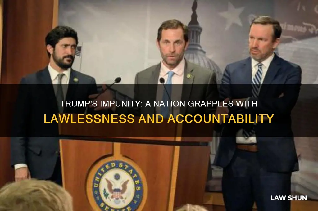 when it comes to trump there is no law