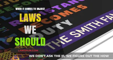 Challenging Unjust Laws: Our Moral Duty to Resist and Reform