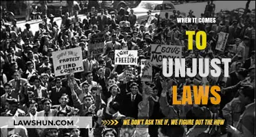 Challenging Unjust Laws: A Moral Imperative for Social Justice and Change