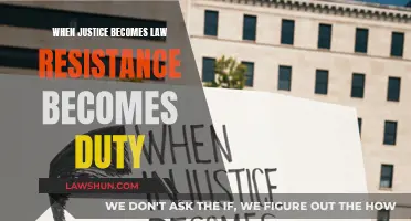 Justice vs Law: Resistance as Duty