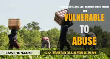 Farmworkers' Plight: How Labor Laws Failed to Protect the Vulnerable