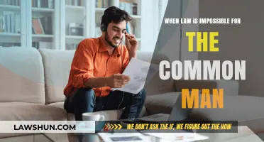 The Law: An Unaffordable Luxury for Common Man?