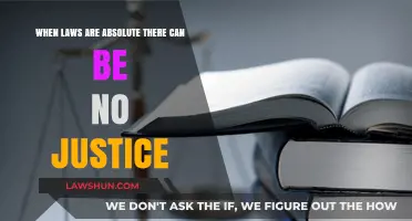 Absolute Laws: A Barrier to Justice