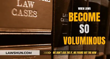 Laws' Volume: A Challenge to Society's Functioning