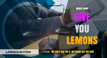 When Laws Give You Lemons: Turning Legal Challenges into Opportunities