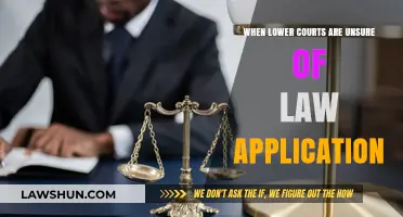 Navigating Legal Uncertainty: When Lower Courts Struggle with Law Application