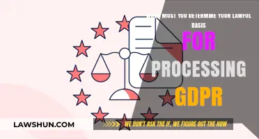 GDPR Compliance: When to Determine Your Lawful Basis for Processing