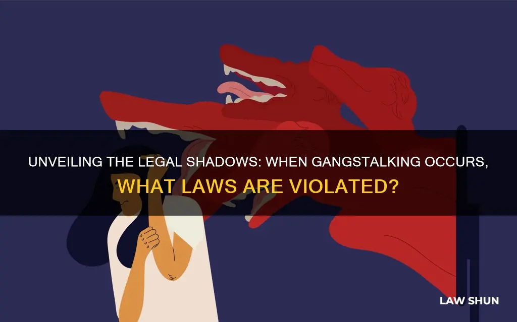 when people are gangstalking what laws are they breaking