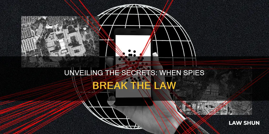 when people break the law as spies