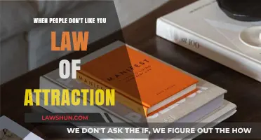 Law of Attraction: Navigating When People Don't Like You