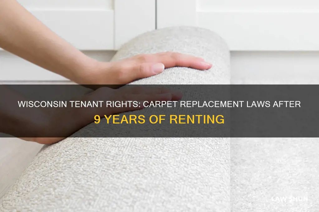 when renting for 9 years law on carpet in wisconsin