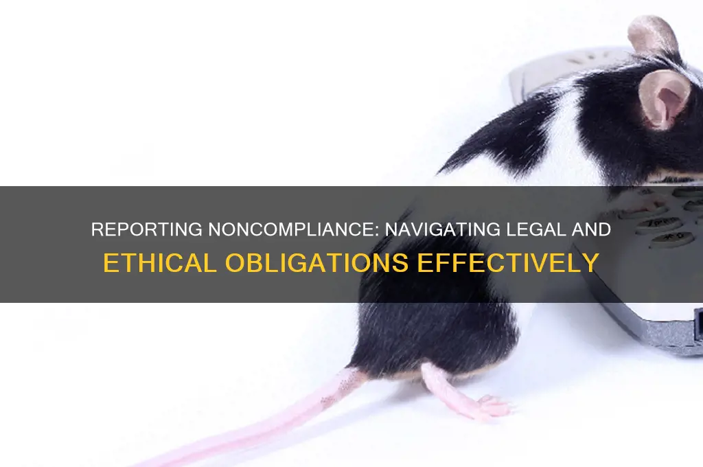 when reporting identified or suspected noncompliance with laws and regulations